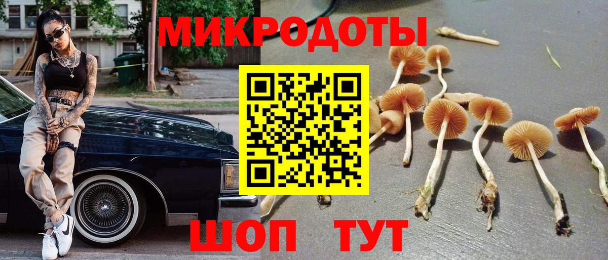 Псилоцибиновые грибы Cubensis  Псилоцибиновые грибы Magic Shrooms  Саров  Вход с VPN 